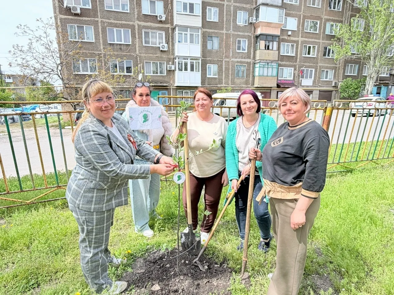 🌳Сад памяти в Снежном: в честь героев, во имя будущего