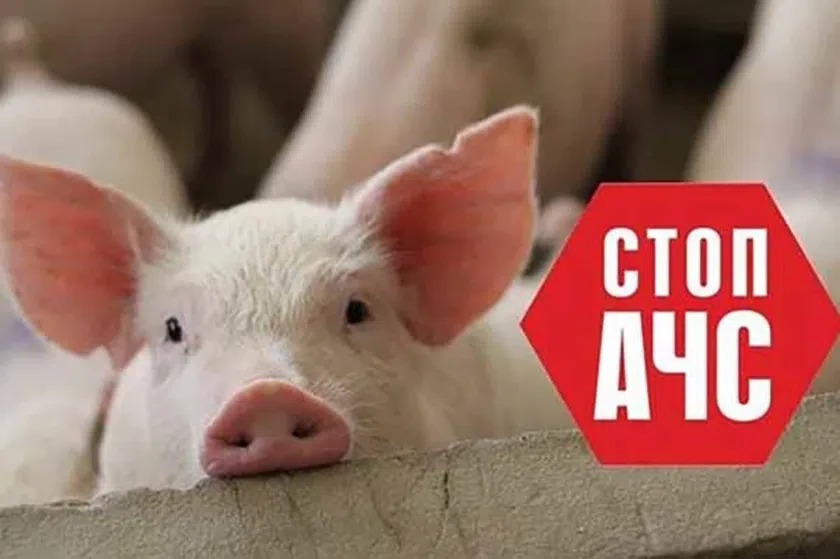 На территории Эзирит-Булагатского района проходят месячники «Летний вепрь» и «Стоп грипп»
