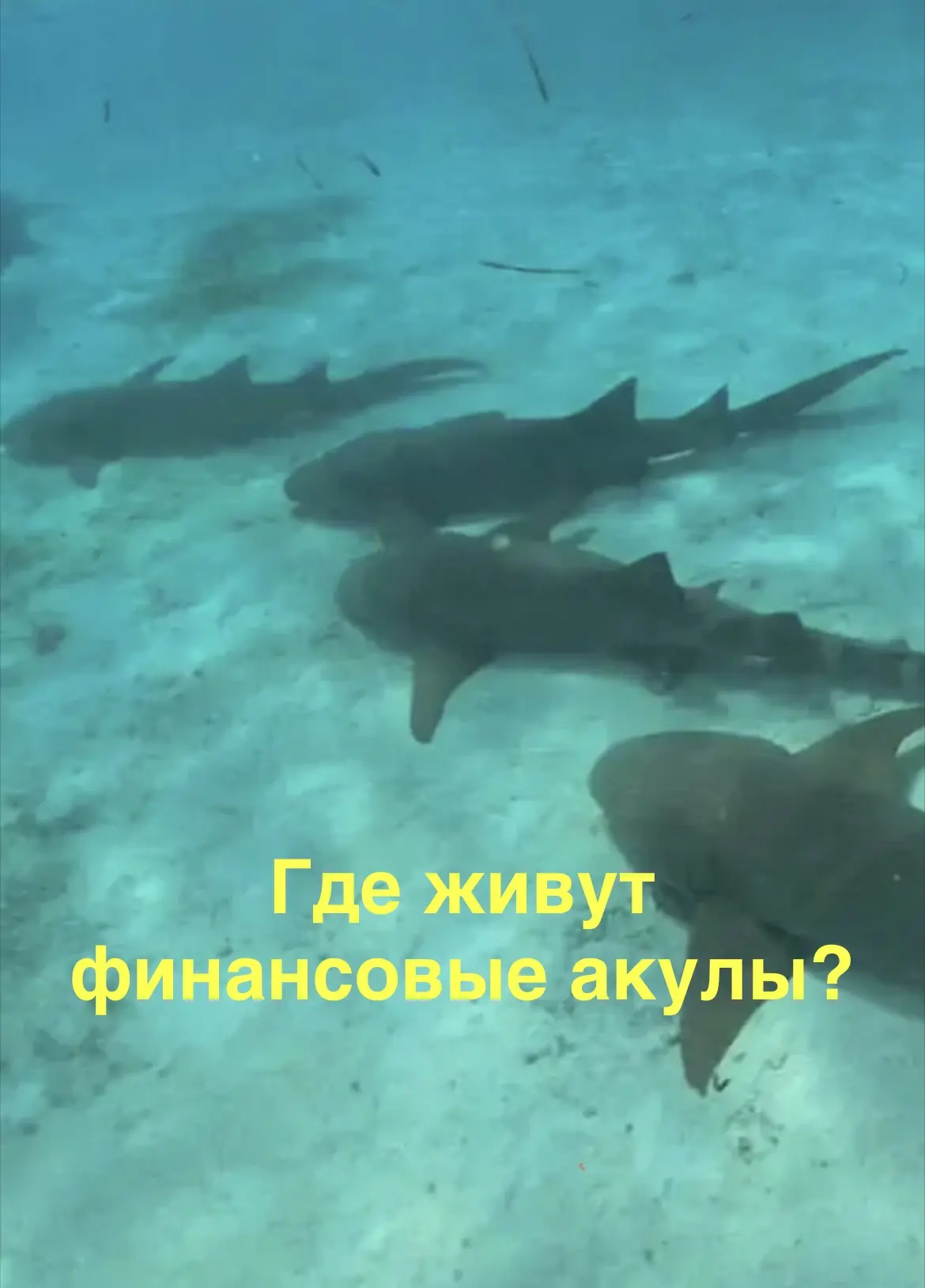Люди системно переоценивают “видимое”