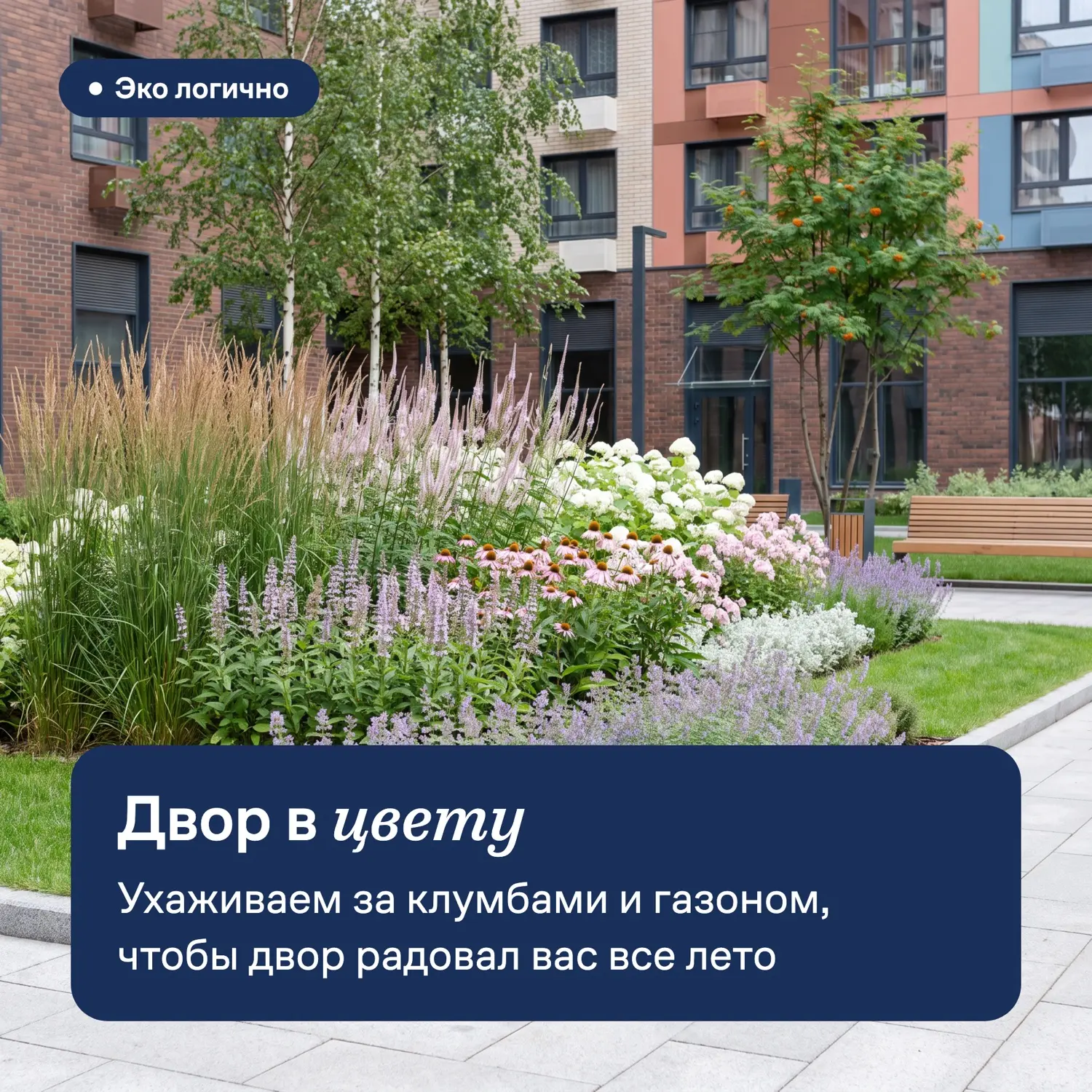 Жители уютных квартир 🏠