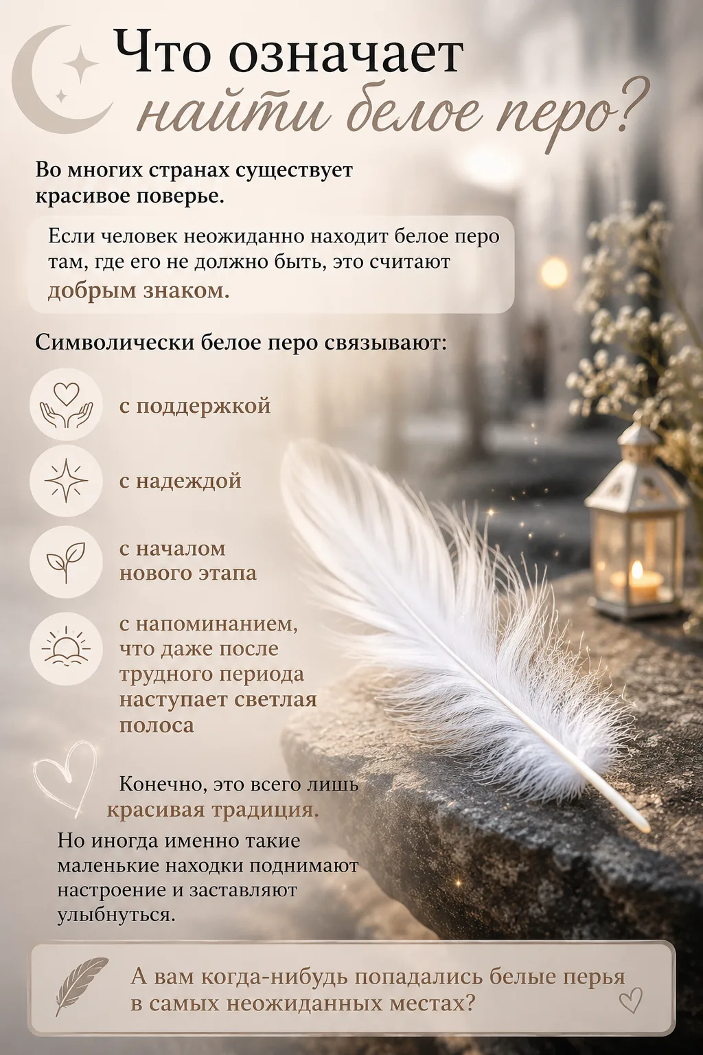 🪶 Что означает найти белое перо?

Во многих странах существует красивое поверье.

Если человек неож