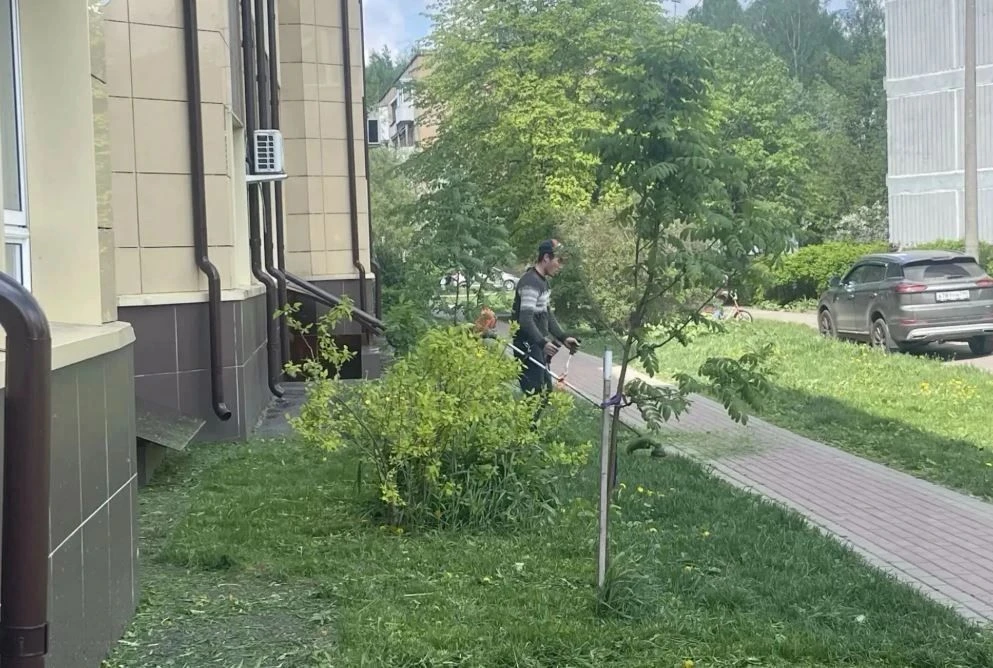 🏡 Сотрудники управляющей компании «Блеск-Сервис» выполняют работы по покосу травы на п...
