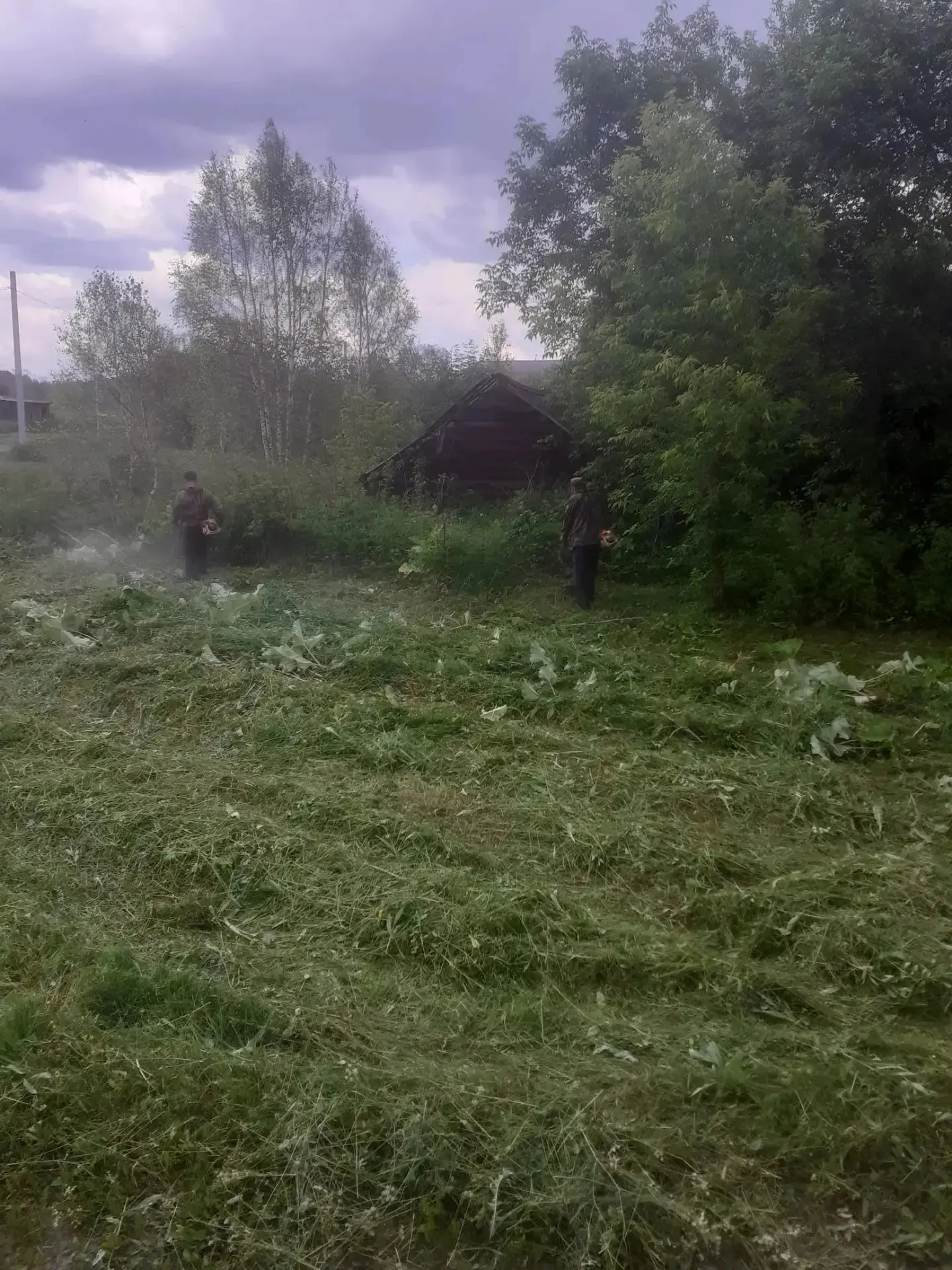 Итоги рабочей недели МКУ «УМТО КСП и ПУ» (15.06.2026 – 19.06.2026)

Уважаемые жители! С 15 по 19 июн