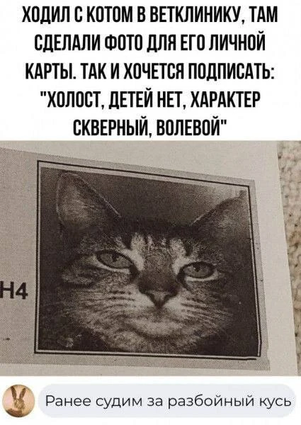 Юмор | Видео | Приколы

Подписаться
