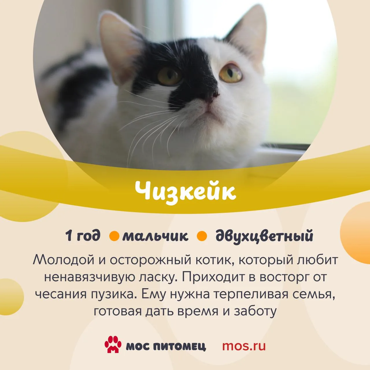 На ВДНХ в эти выходные пройдёт бесплатный фестиваль воздушной гимнастики