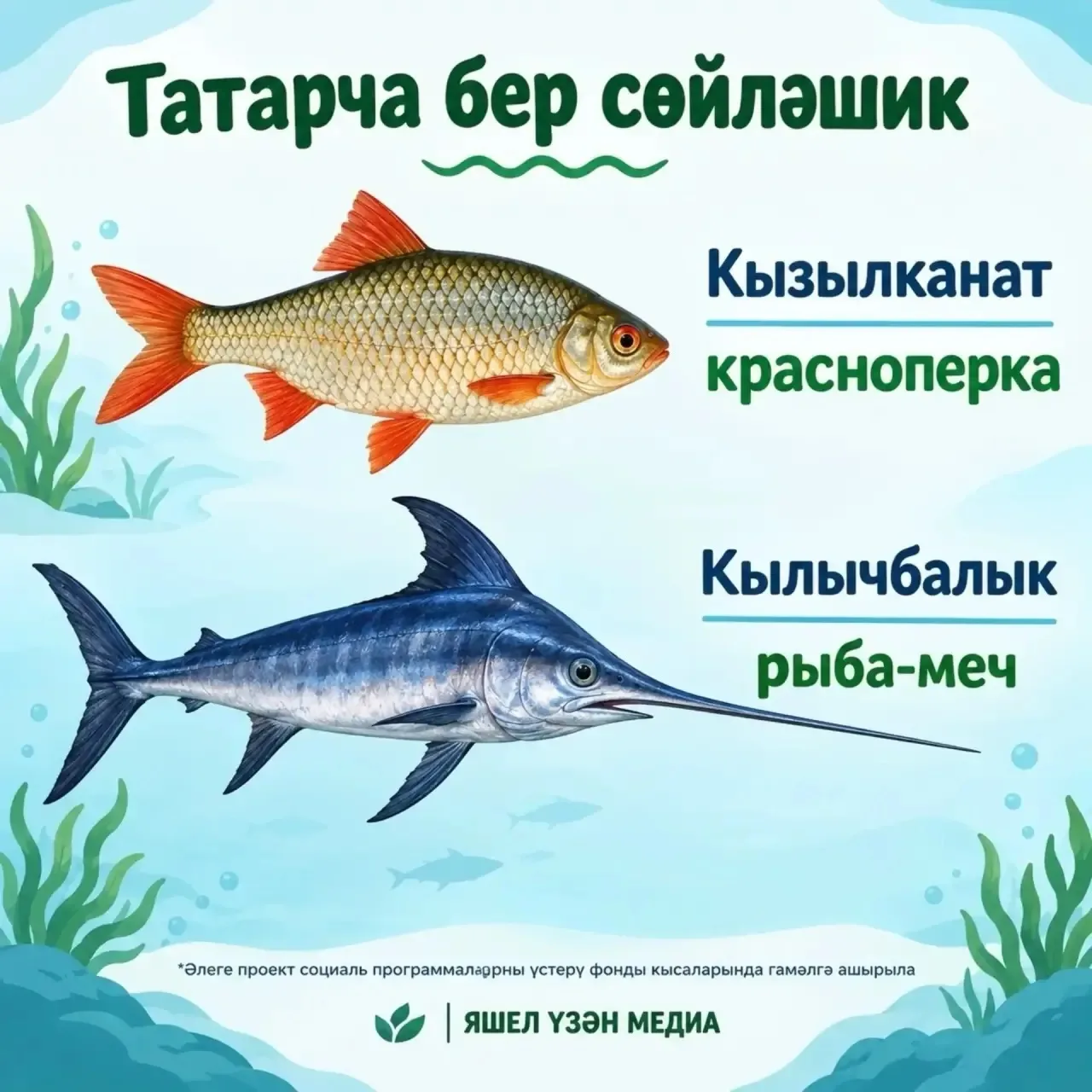 «Тере тел – сүздән башлана» исеме астында тәкъдим ителгән мәкаләләрне, видеоязмаларны, ...