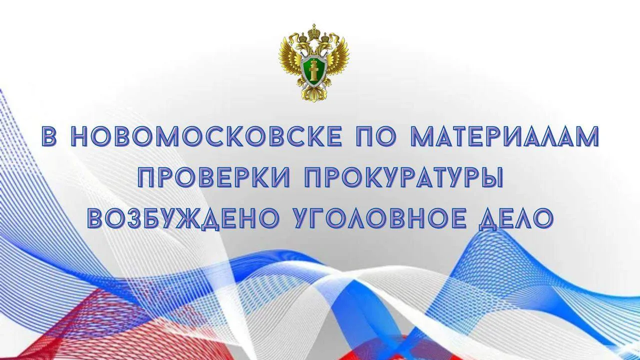 ⚖️ Новомосковский районный суд Тульской области вынес приговор по уголовному делу в отн...