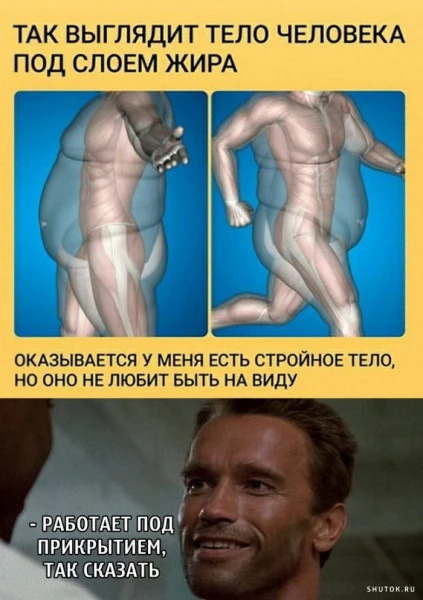 Чем опасен висцеральный жир?

П: «Я не понимаю! Делаю по 100 скручиваний каждый день, стою в планке,