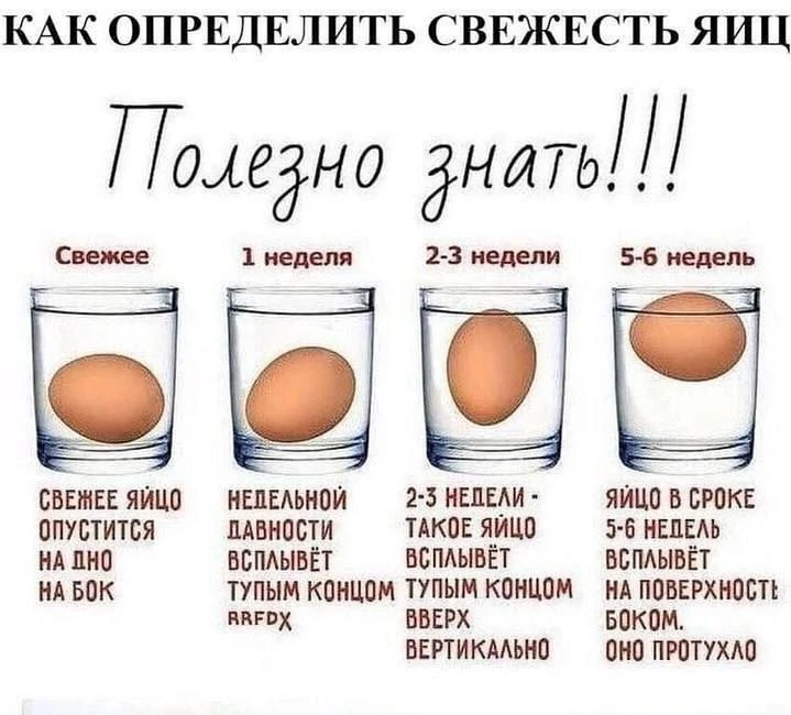 Как определить свежесть яиц? 🥚