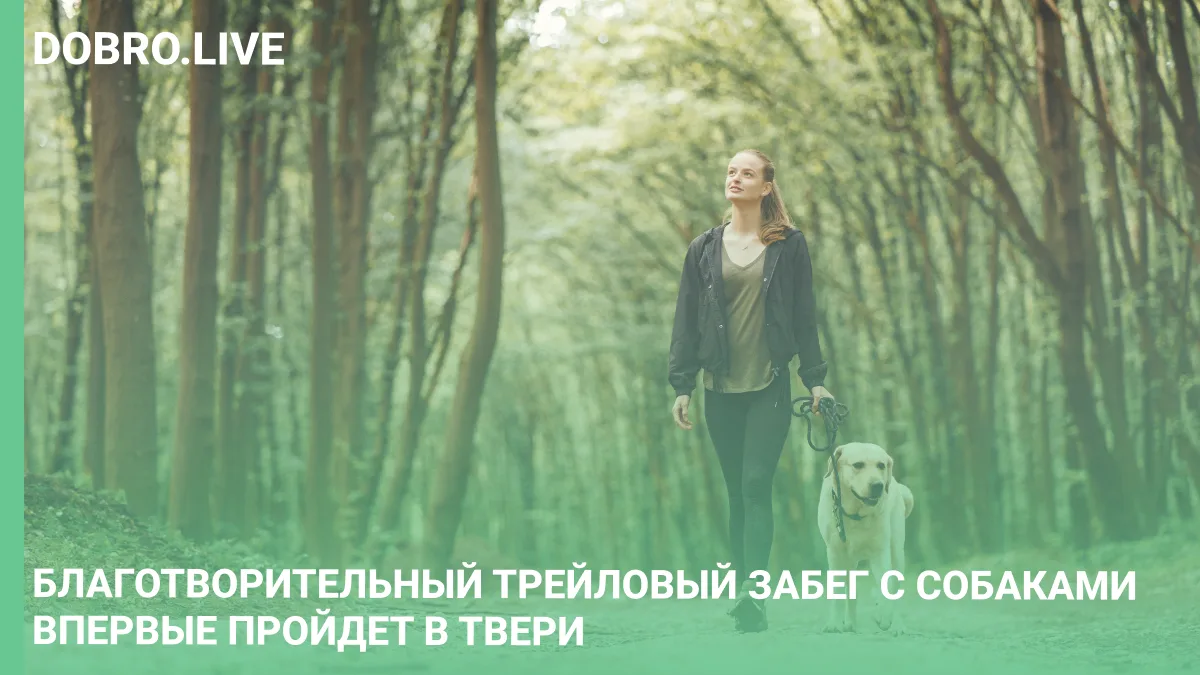 Благотворительный трейловый забег с собаками впервые пройдет в Твери