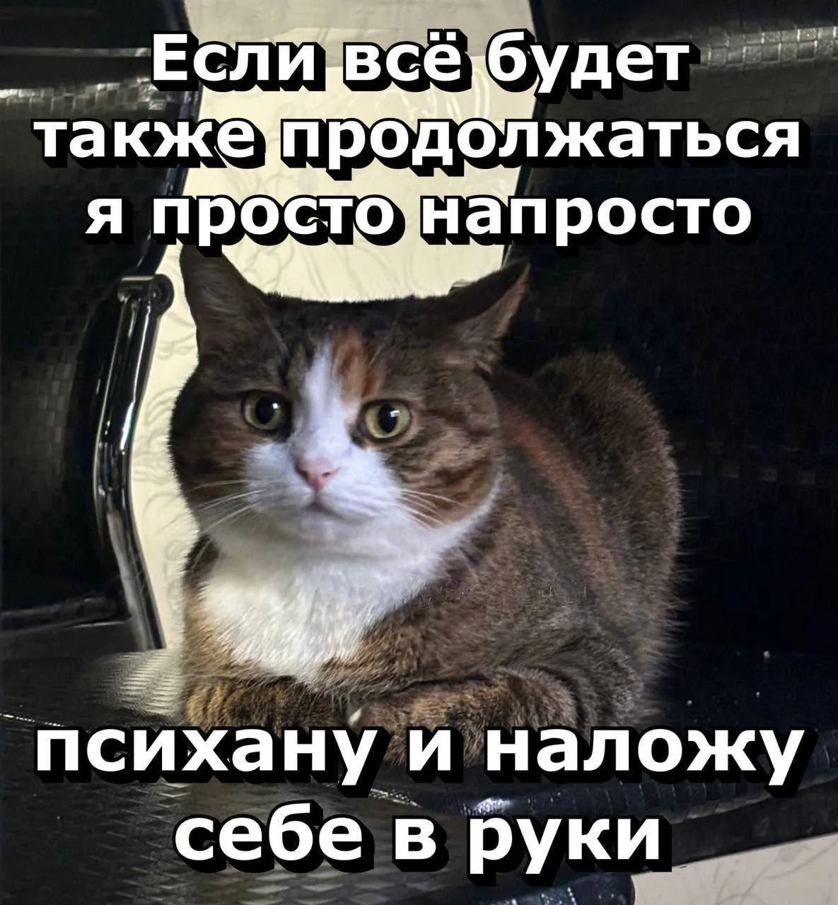 Мемы каждый день • Подписаться