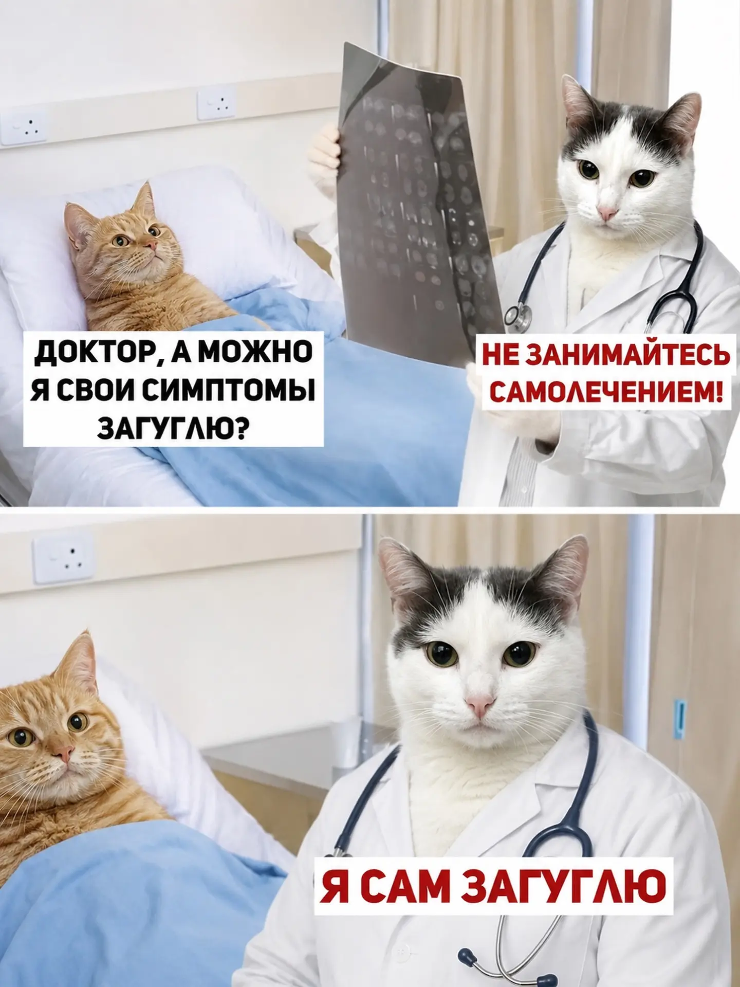 Женский юмор - Подписаться