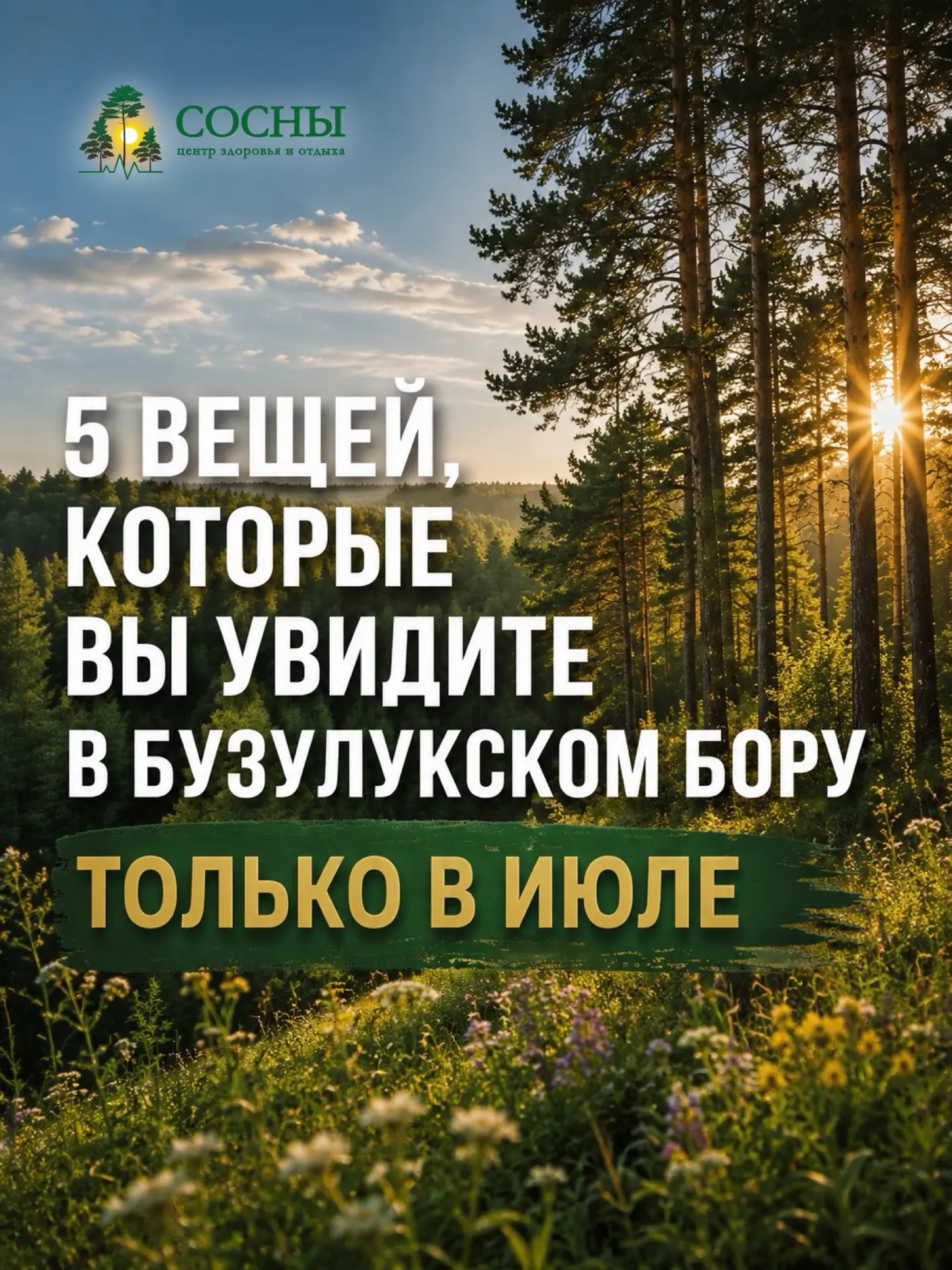 Июль в Бузулукском бору — это время, когда природа показывает себя во всей красе.

Это тот самый мес