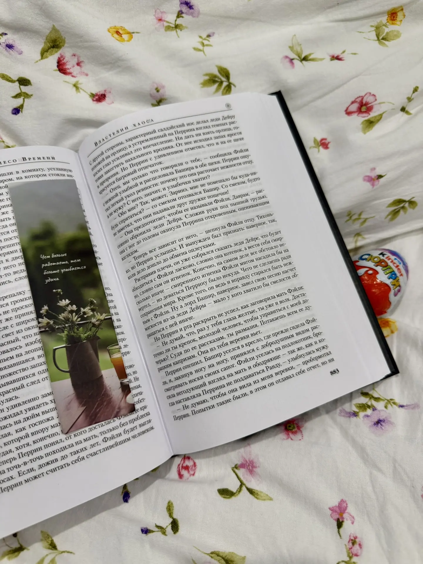 📚 Потихоньку приближаюсь к завершению шестой книги из цикла «Колесо времени».