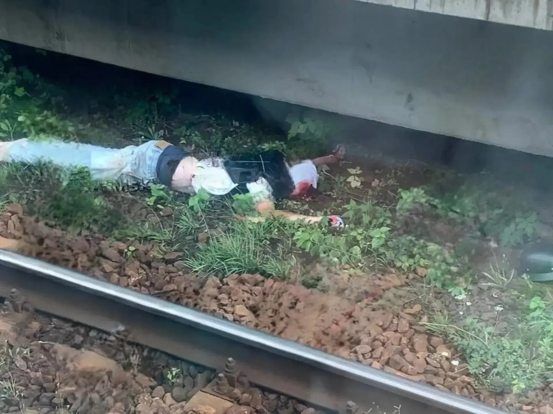 Самокатчик погиб под колёсами поезда в Подмосковье