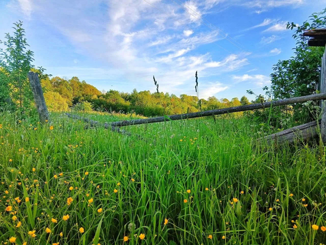 Доброе утро любимая Сива🍃❤️