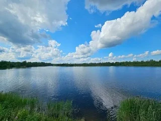Купальный сезон в Боровичах открыт: список официальных пляжей