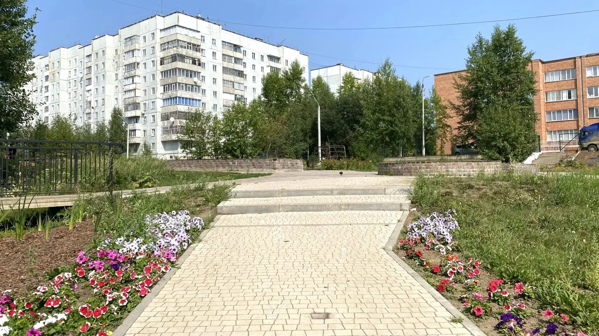 🌼 Ромашковое лето глазами Елены Хорошавиной. Авторские снимки нашего народного фотогра...