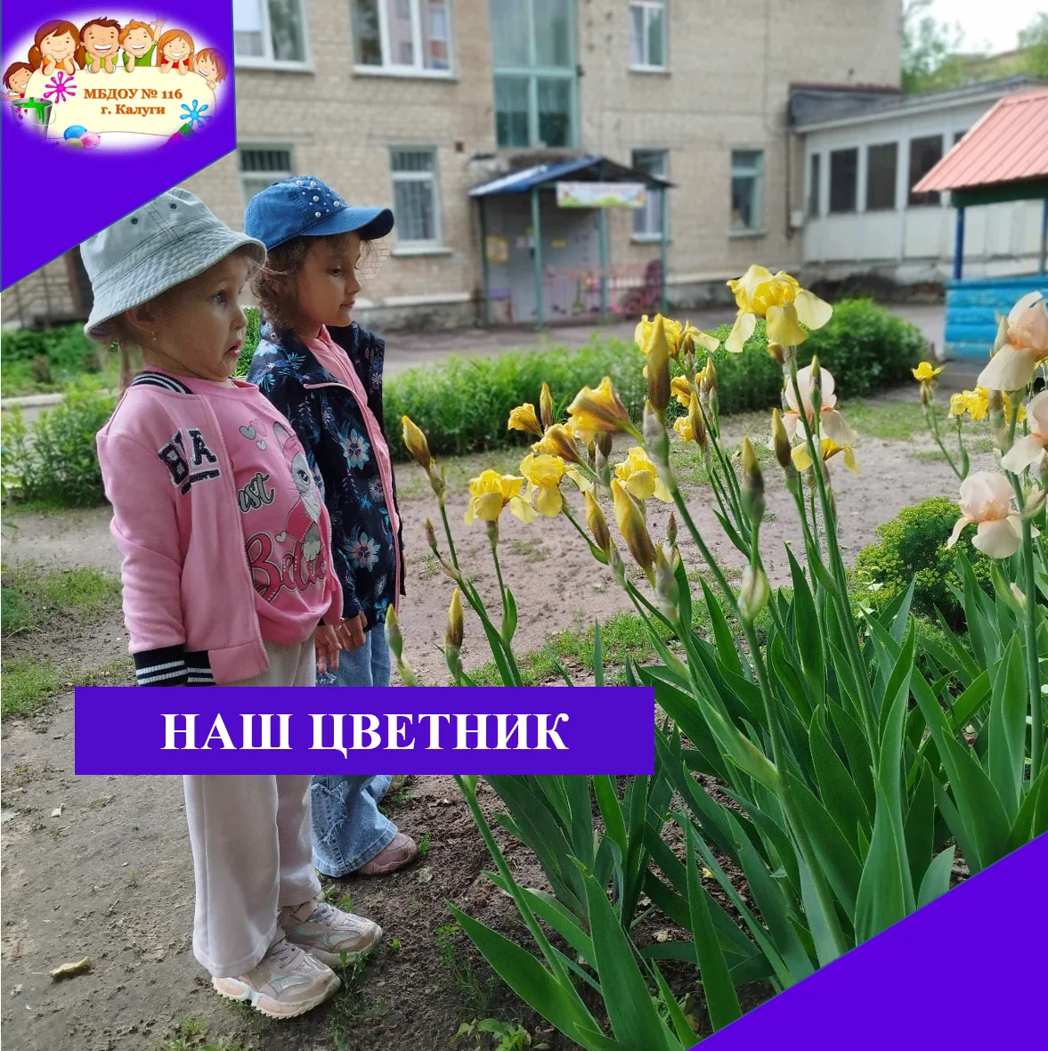 🌞Лето чудесная яркая пора. Цветущие клумбы в детском саду создают радостное и позитивн...