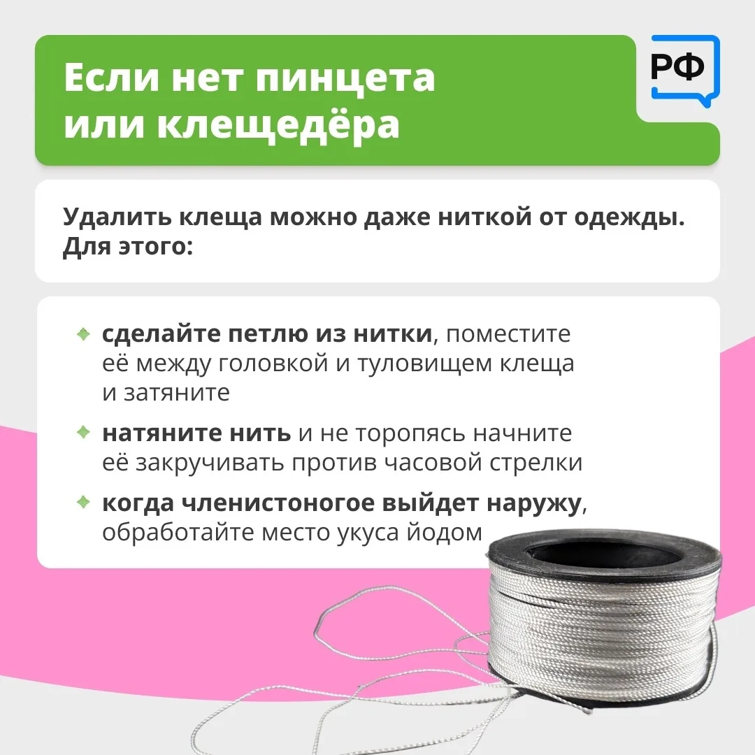 Вместе с клещом можно подцепить опасные болезни. Например, боррелиоз — он затрагивает кожу, сердце и