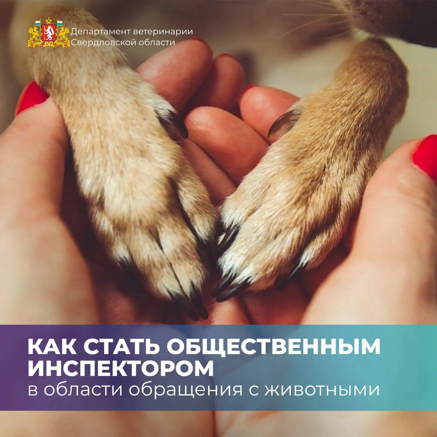 🐾  Как стать общественным инспектором в области обращения с животными?