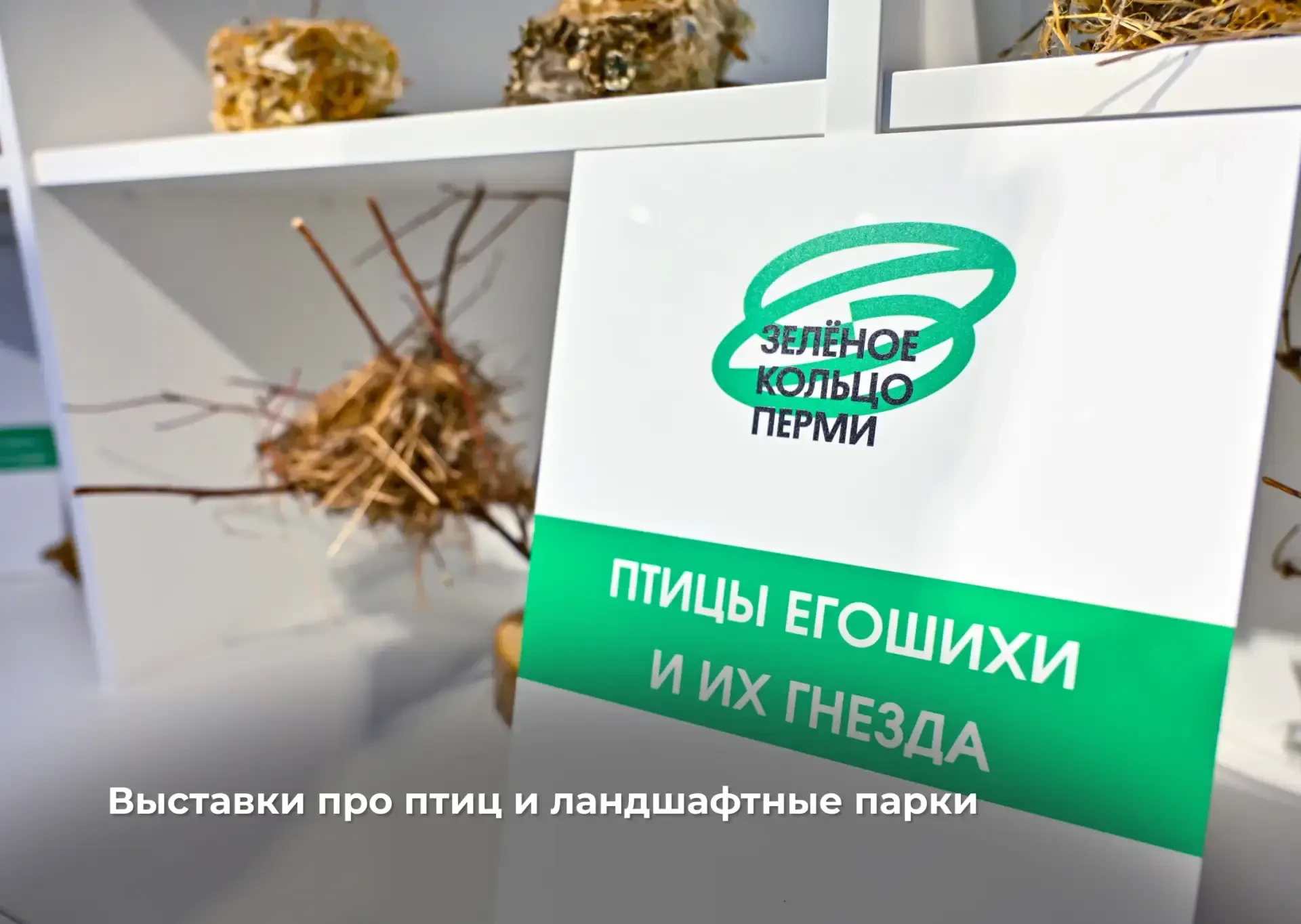 Первый визит-центр в долинах малых рек открыт для жителей и гостей Перми  Сегодня открыли визит-цент