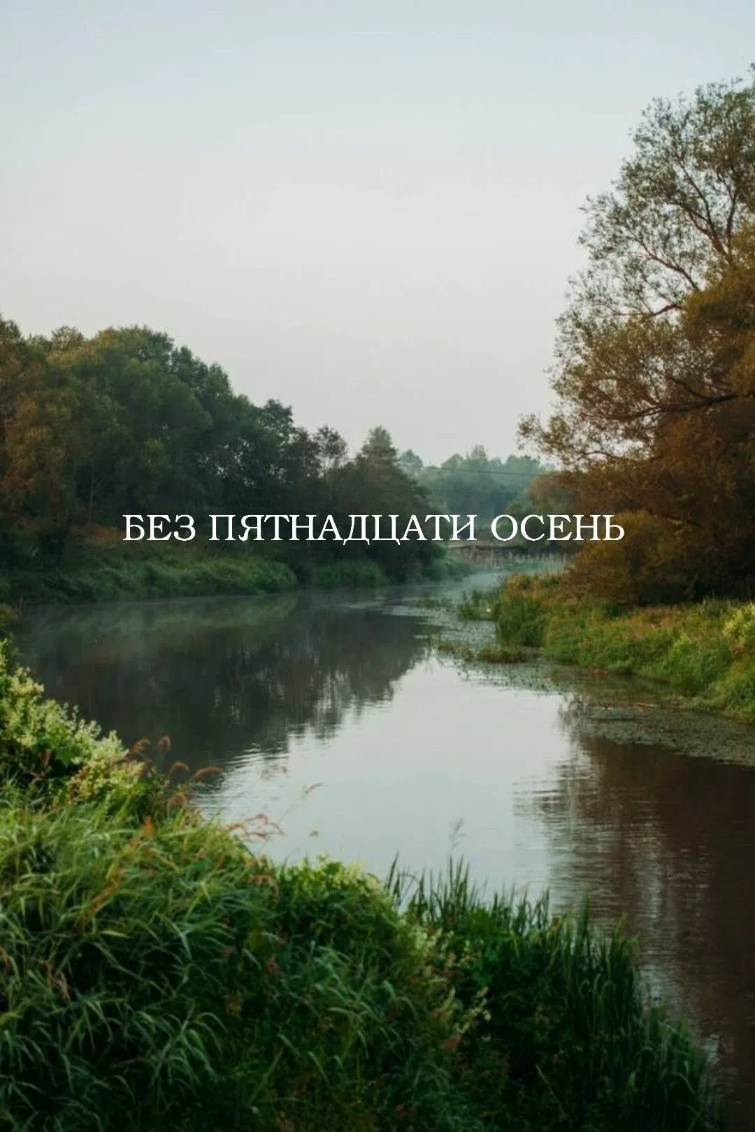 Тссс… Слышите?