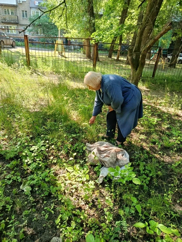 Сотрудники ГБУСО ЦСОН Киевского района города Донецка продолжают наводить порядок на прилегающей тер