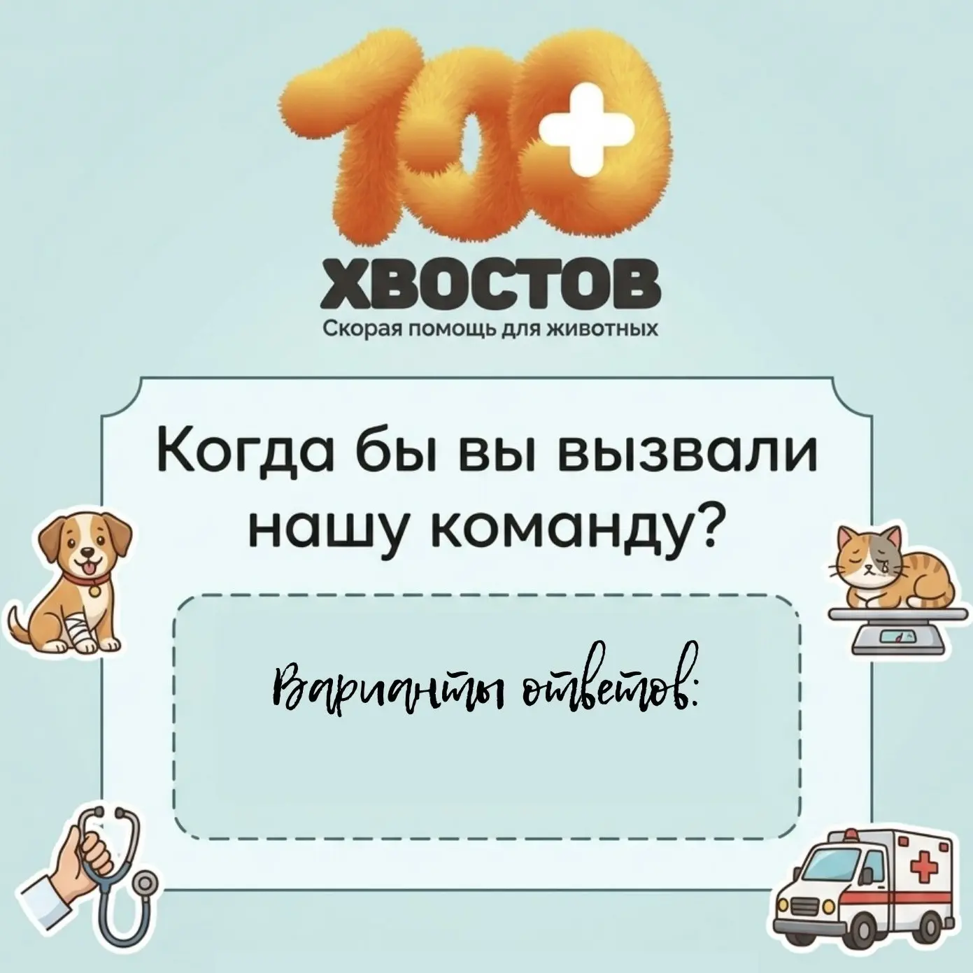 1) Собака попала в ДТП