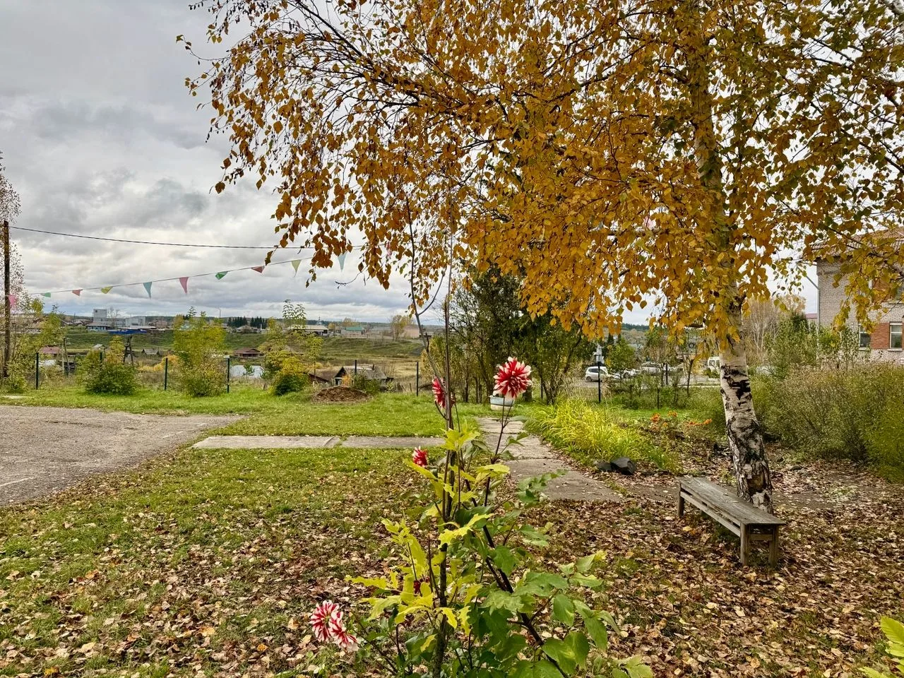 Доброе утро, дорогие друзья! 💛