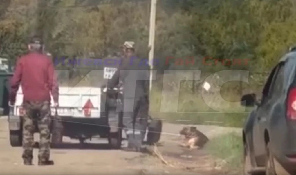 Зоозащитники в Удмуртии возмутились приговором мужчине, который убил собаку 

Активисты «Альянса защ