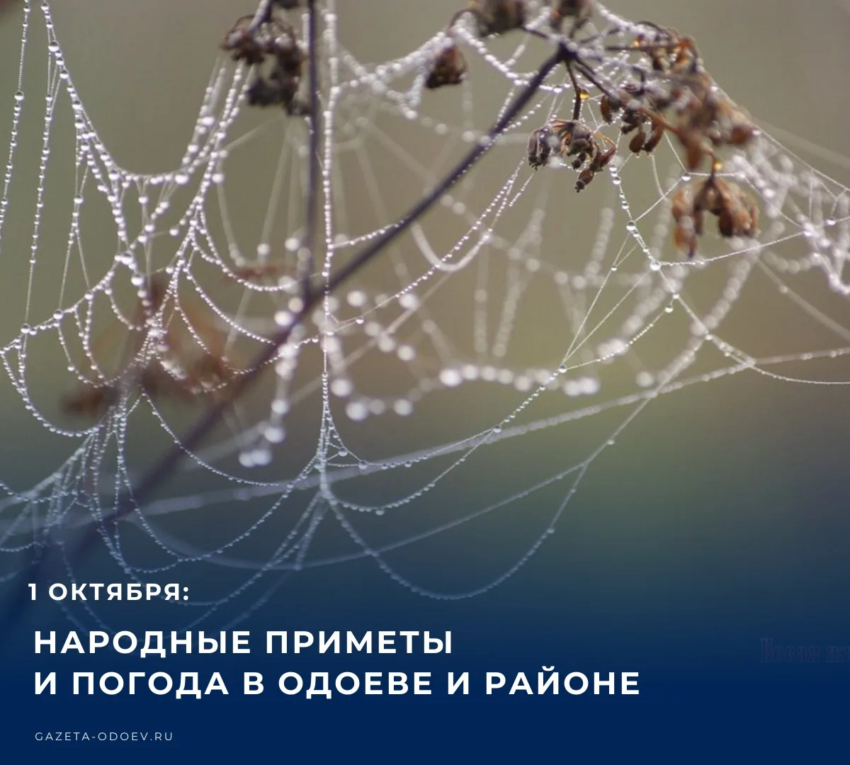 ☀️ Сегодня, 1 октября, по народному календарю день Арины Шиповницы. Синоптики обещают о...