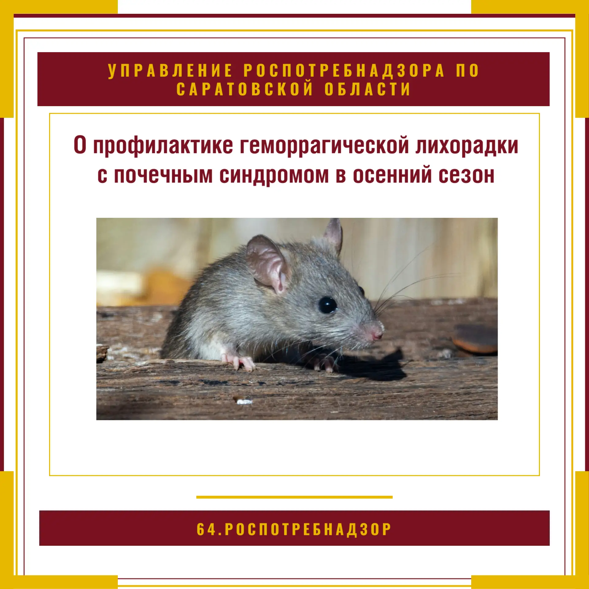 Наступление осени, сопровождающееся понижением температуры воздуха и сокращением кормов...