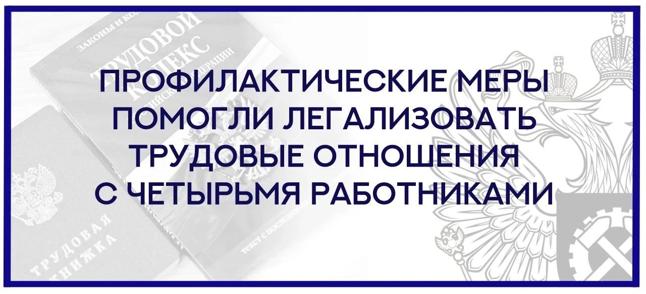 В соответствии со своей компетенцией Государственная инспекция труда реализует комплекс...