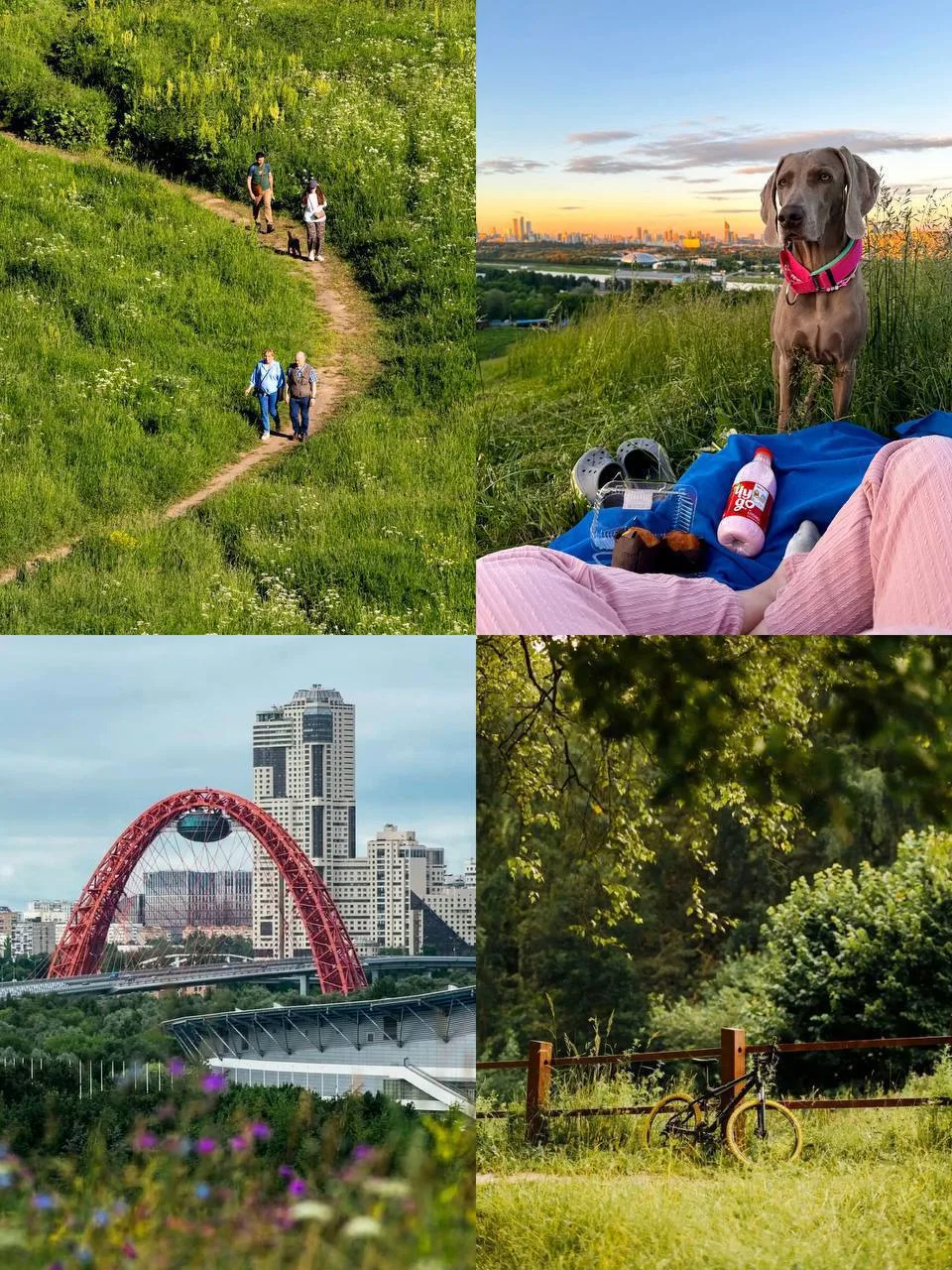 🚶 Три маршрута для долгих прогулок в Москве