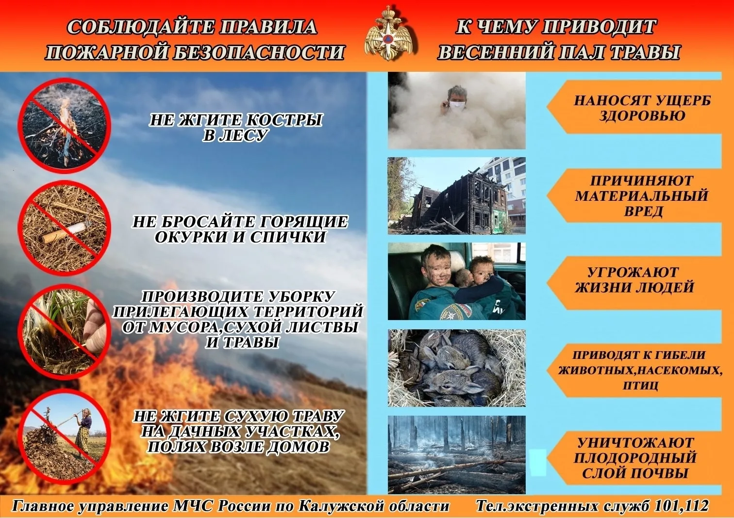 🔥С приходом весны начались первые палы травы, и это вызывает тревогу.