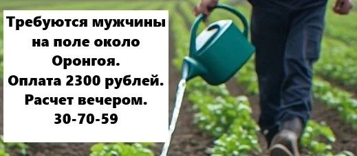 Требуются мужчины для работы на сельскохозяйственных полях 
около Оронгоя.
Возраст 25-50 лет
Оплата 