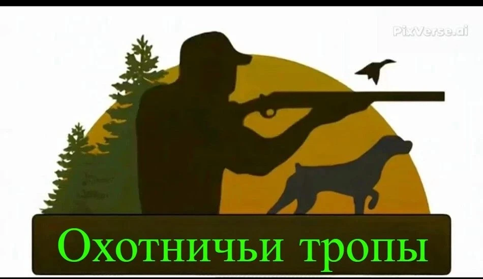 Друзья рад всех приветствовать на канале: ОХОТНИЧЬИ ТРОПЫ. Меня зовут Александр 🤟👍🔥 ...