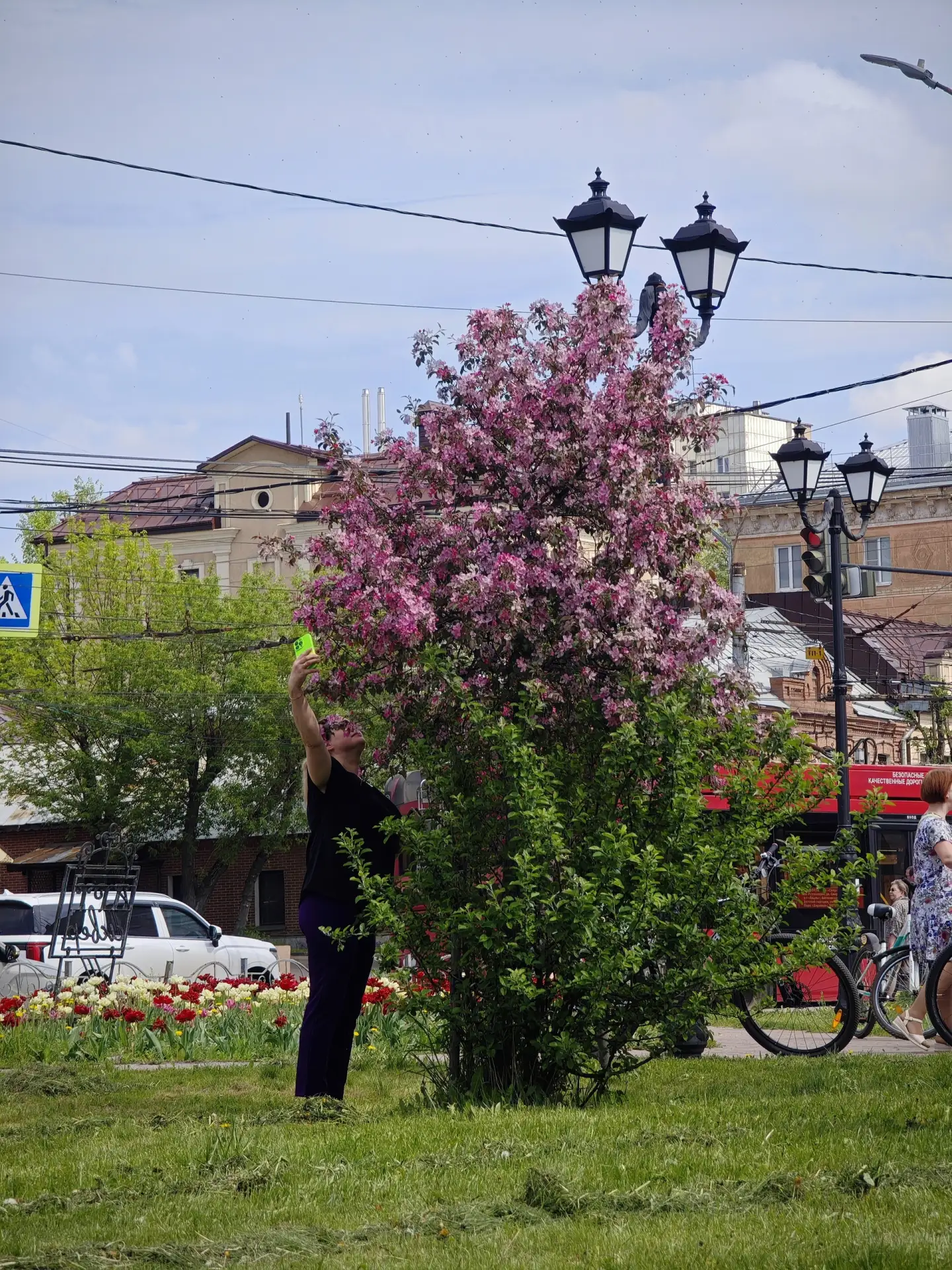 Рассказываем, где ещё в городе #Иваново можно полюбоваться цветущими декоративными розовыми яблонями