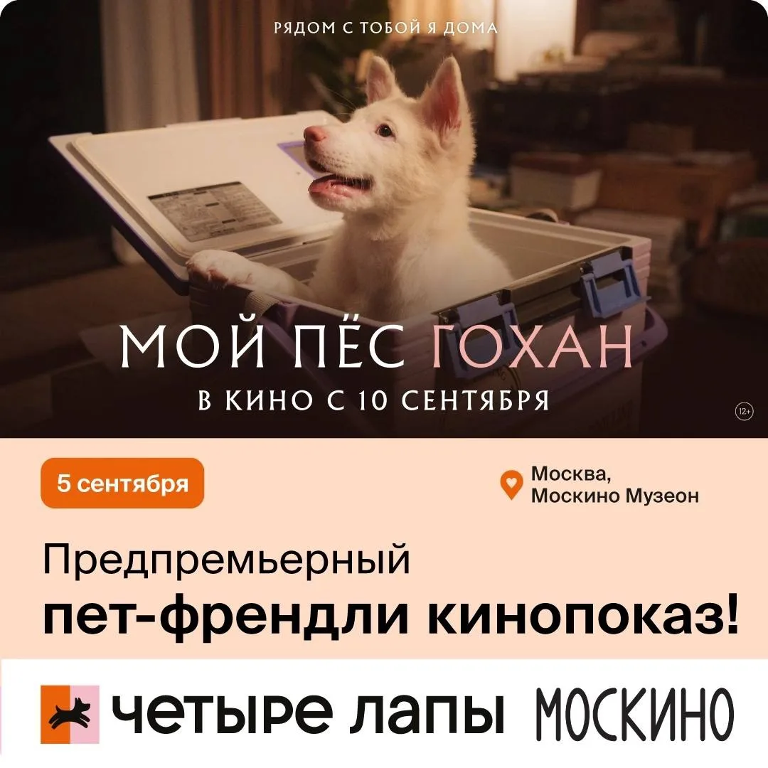 Предпремьерный пет-френдли кинопоказ: Мой пес Гохан🐾
