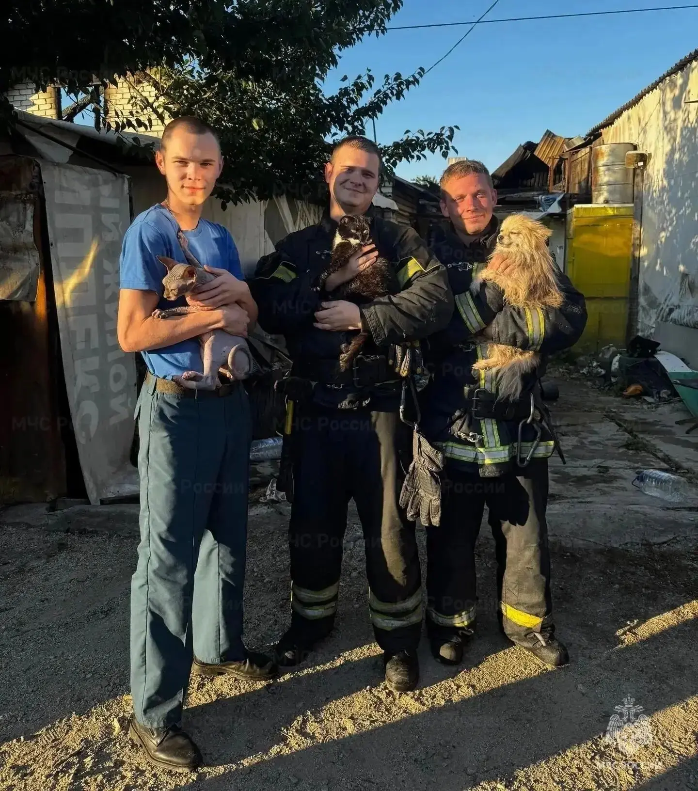 👩‍🚒 Сотрудники МЧС спасли двух котов и собаку из загоревшегося дома в Белгороде