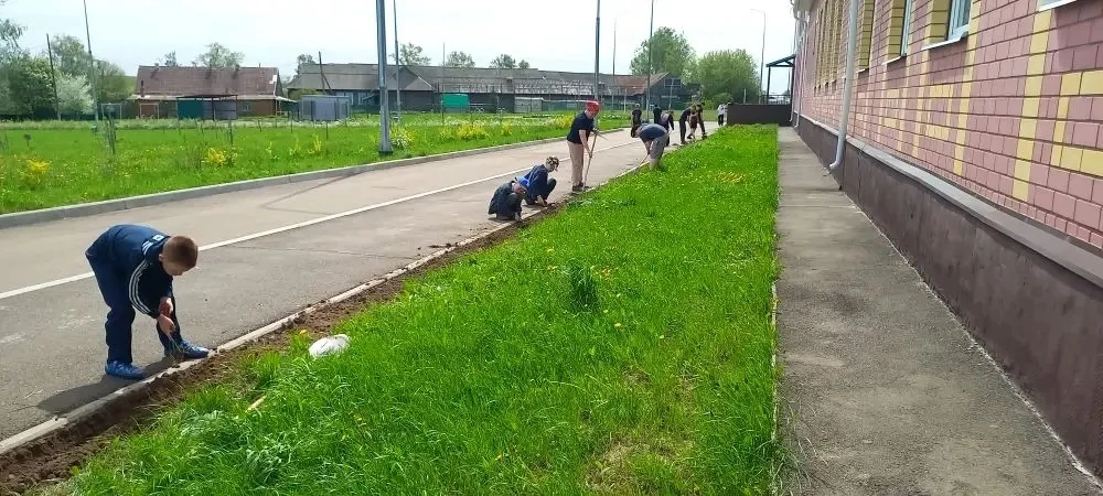 В рамках экологической инициативы и для создания уютной и красивой атмосферы вокруг шко...