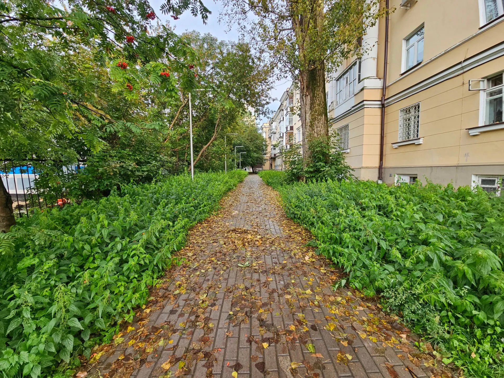 Затихли летние трели. Осень — время тишины и возвращения к себе🤍