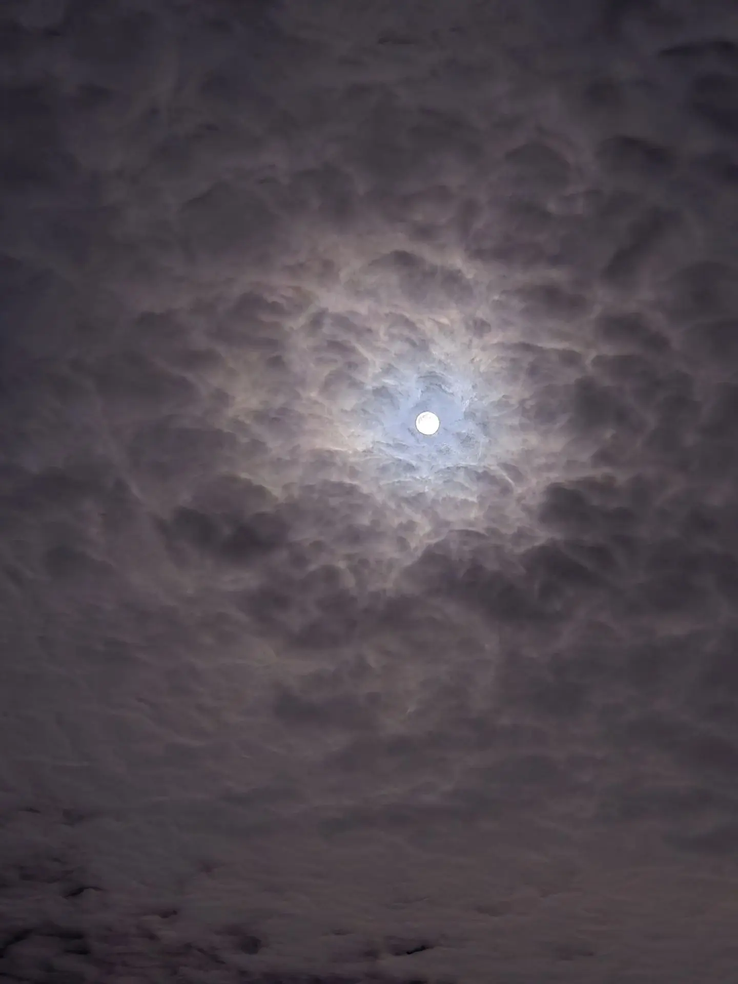 Красоты Куликова поля. Ночь и утро...️️🌑🌥☁️