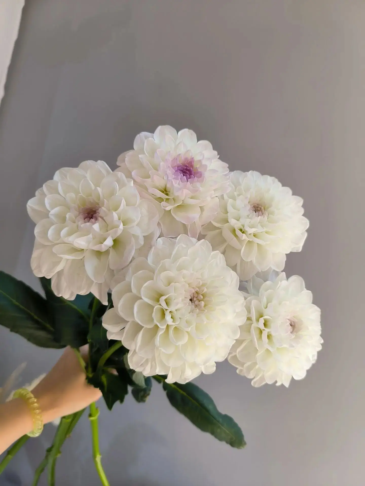 Свежая поставка 🤗