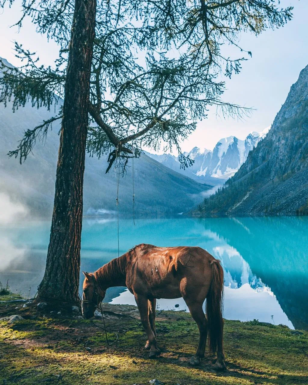😍 УТРО НА ШАВЛИНСКИХ ОЗЁРАХ