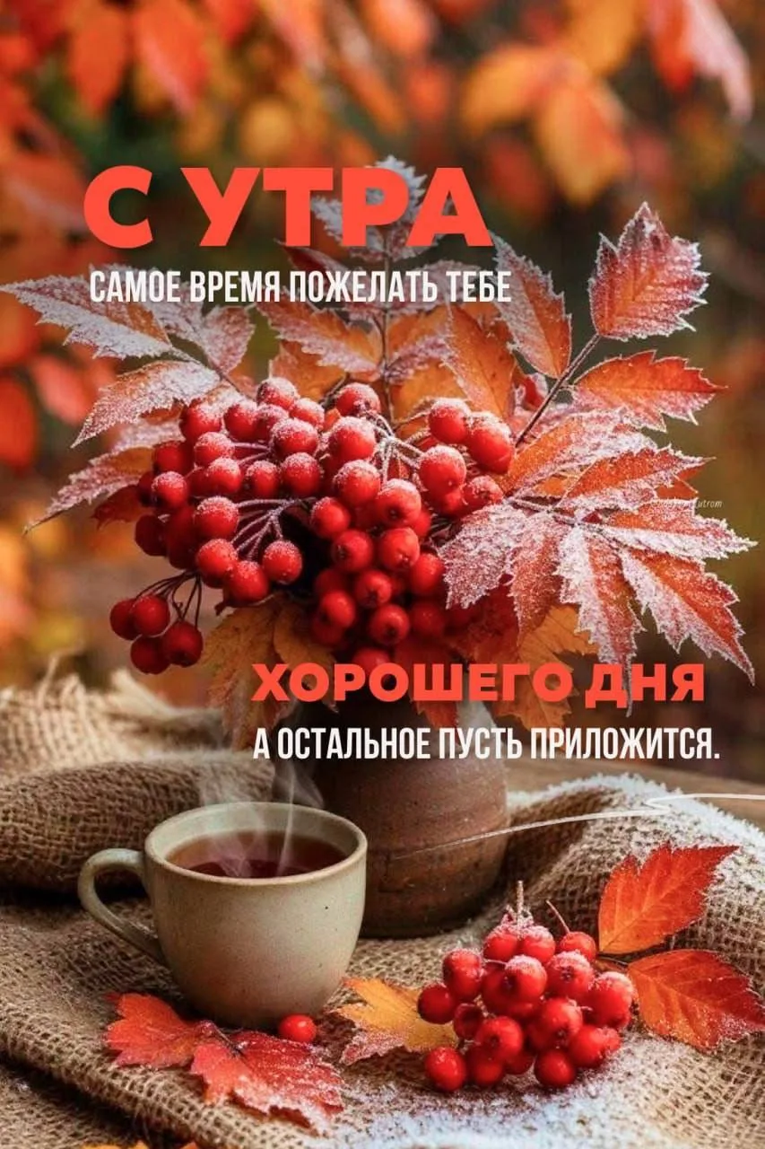 Открытки и поздравления — Подписывайся!