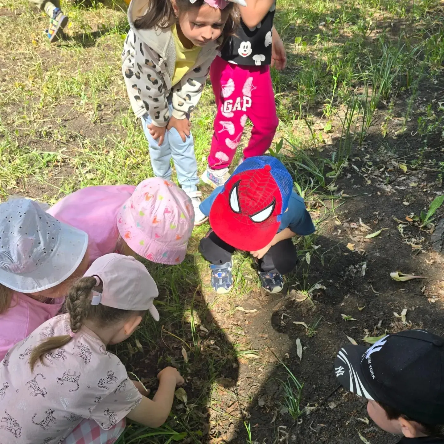 🐞 Маленькие исследователи: знакомимся с миром насекомых! 🐝

Наши дошколята не перестают удивляться