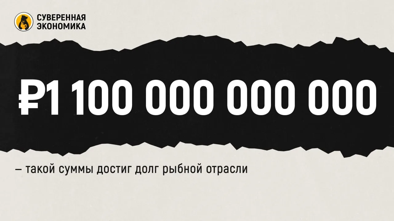 ₽1 100 000 000 000 — такой суммы достиг долг рыбной отрасли