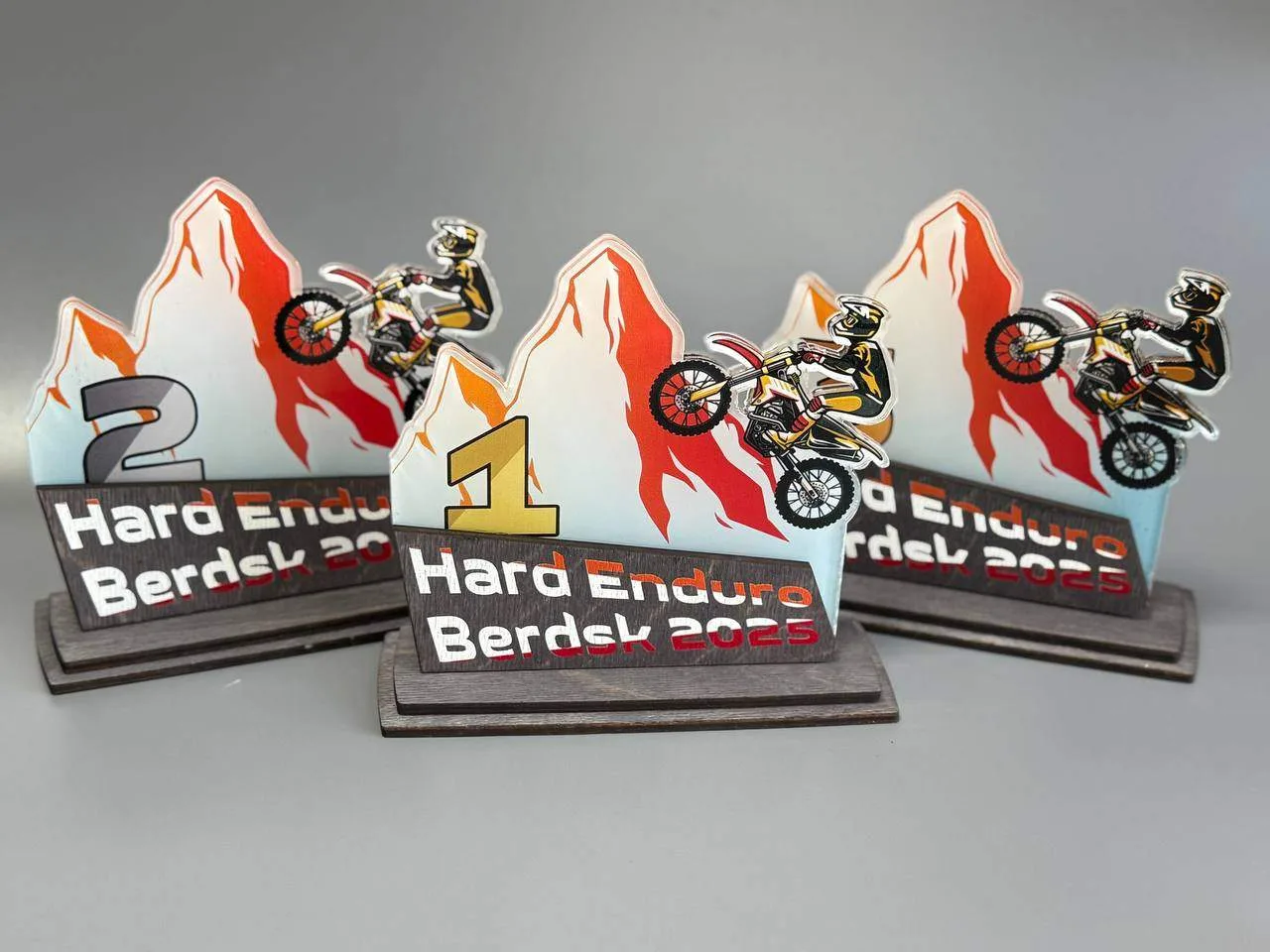 Кубки для HARD ENDURO в городе Бердск